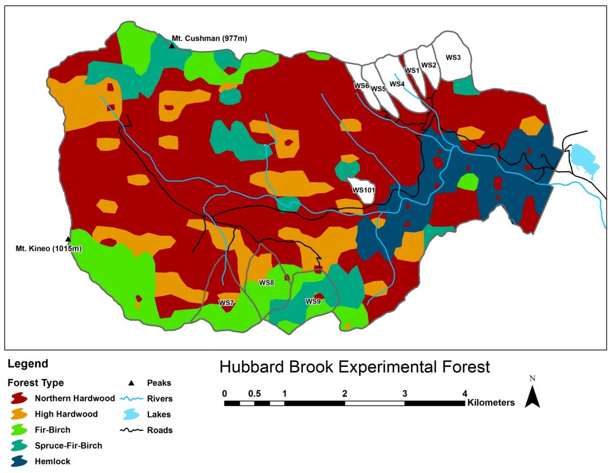 Hubbard Brook forest composition